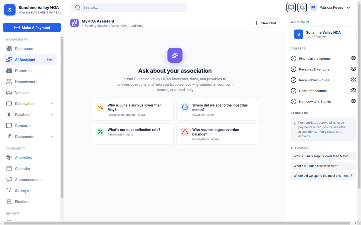 AI Assistant